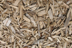 biomass boilers Lingreabhagh